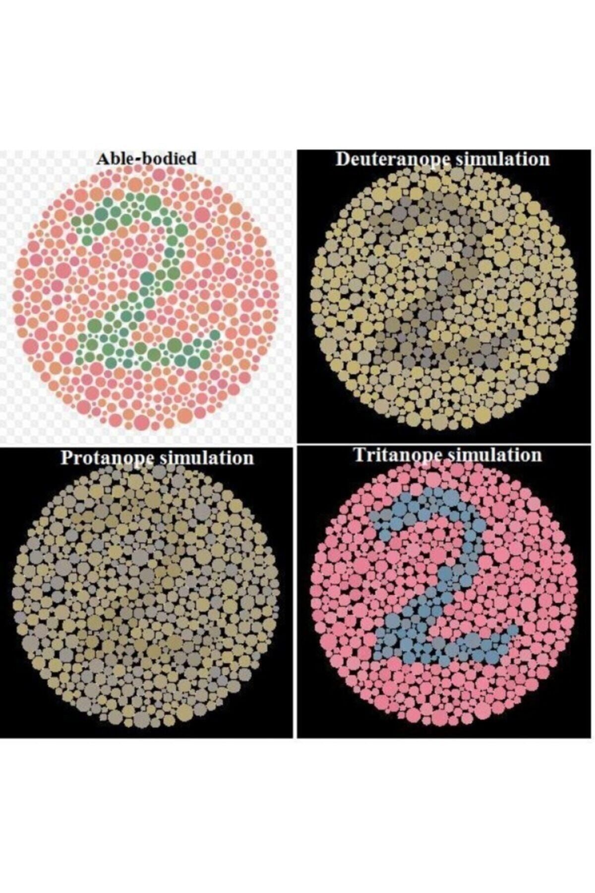 Medikaltec Renk Körlüğü Atlası