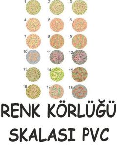 Medikaltec Renk Körlüğü Test Skalası