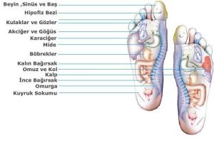 Medikaltec Bio Concept Tabanlık Bayanlar İçin 35-39 Numara Ayak Medikaltec5343 - Görsel 4 (Ön görünüm)