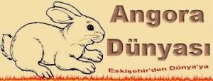 Angora Çorap Tavşan Yünü ÇorapTavşan yün - Medikaltec Angora Çorap Tavşan Yünü Çorap