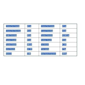 Medikaltec Rolid 100 Tekerlekli Sandalye Medikaltec4574 - Görsel 4 (Ön görünüm)