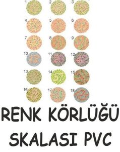 Renk Körlüğü Test Skalası