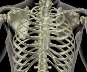 Hbm48 Göğüs Yastığı HBM48 GÖĞÜS (STERNUM - Medikaltec Göğüs Yastığı Medikaltec7277 - Görsel 3 (Ön görünüm)