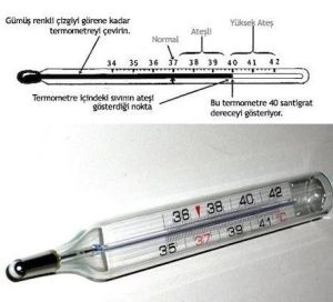 Mesilife – CRW1108 Civa İçermeyen Ateş Ö - Medikaltec – Civa İçermeyen Ateş Ölçer Medikaltec7523 - Görsel 2 (Ön görünüm)