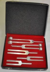Mesitas Dyapazon Set 5'liMESİTAŞ DYAPAZO - Medikaltec Mesitas Dyapazon Set 5'li Medikaltec6323 - Görsel 1 (Ön görünüm)